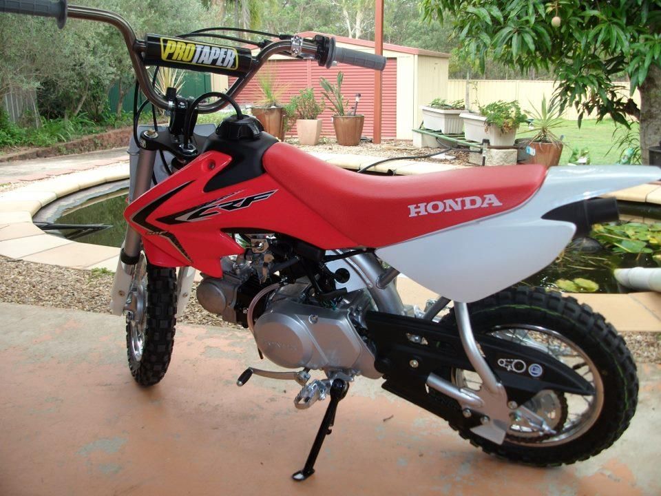 Crf50 buildarooni